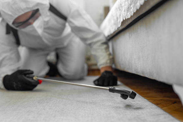 Professional Ant Control technician working in Mansfield, PA