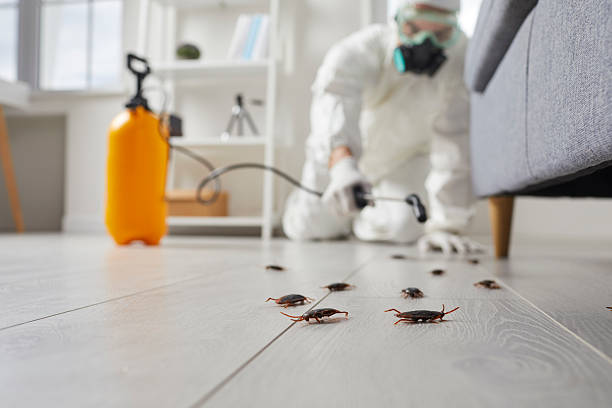 Trusted Termite Control service in Mansfield, PA - Nex Pest Control